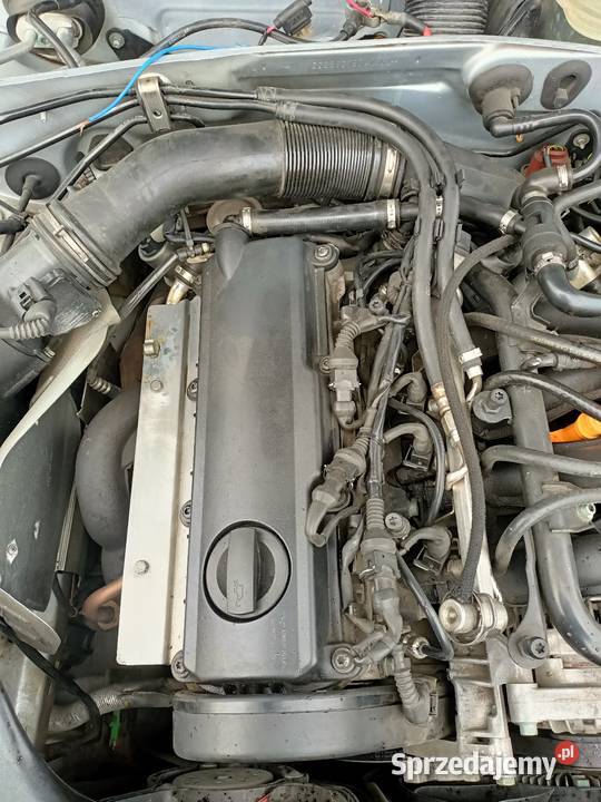 Silnik 16 102 VW Passat B5 2001r ALZ Kętrzyn