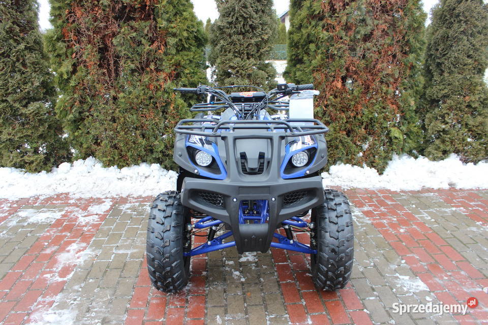 Quad 125 150 cc 4t Hammer benzyna KXD duża rama 150cm3 Goleniów