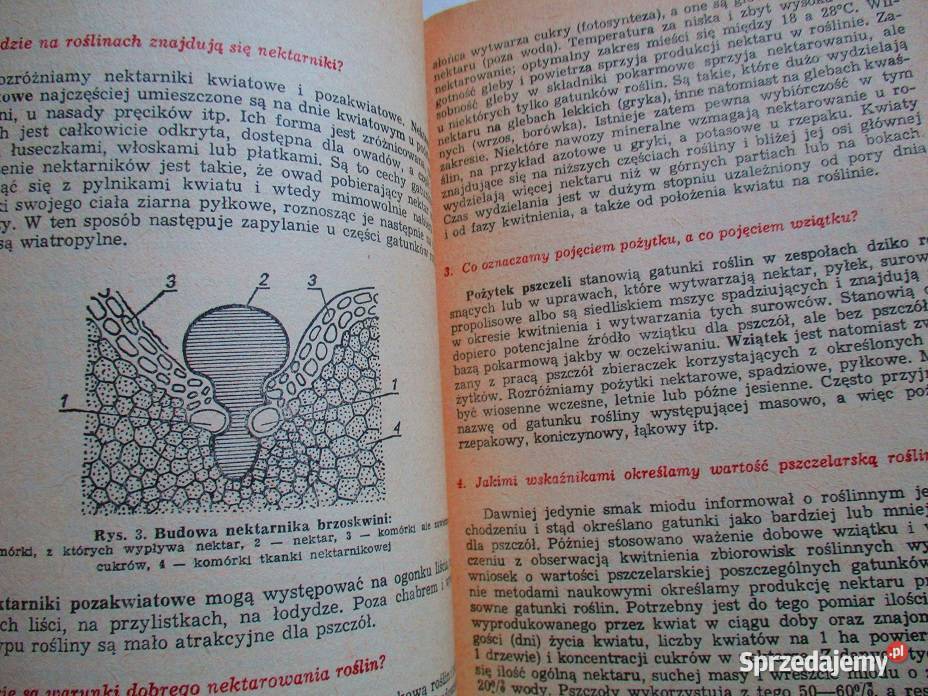 Pszczoły pszczelarstwo pasieka ule choroby Łódź sprzedam