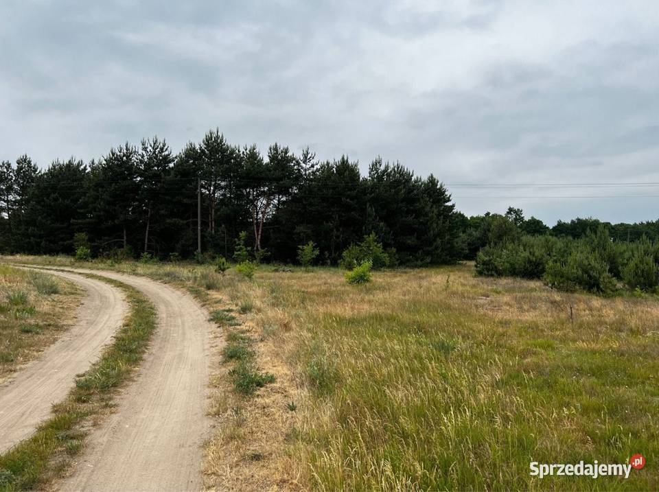 Działka z możliwością zabudowy 9900m2 Łąkie