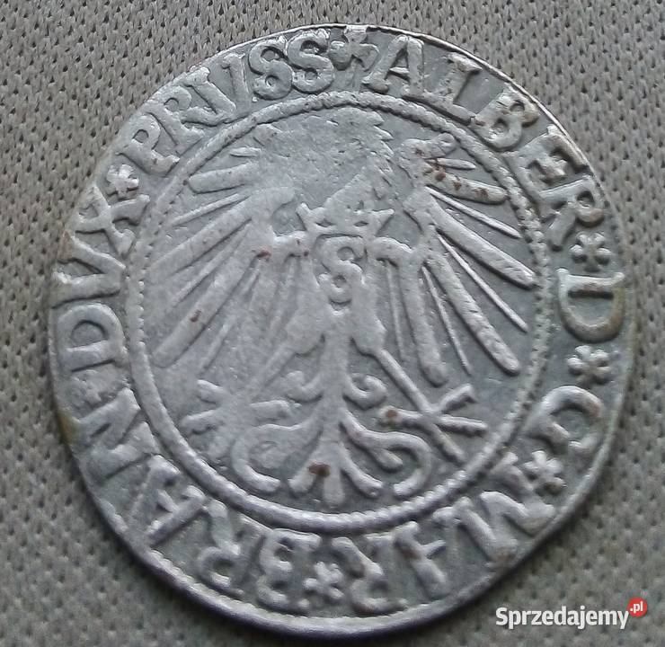 PRUSYGROSZ PRUSKI 1543 r SREBRO ALBERT Legionowo