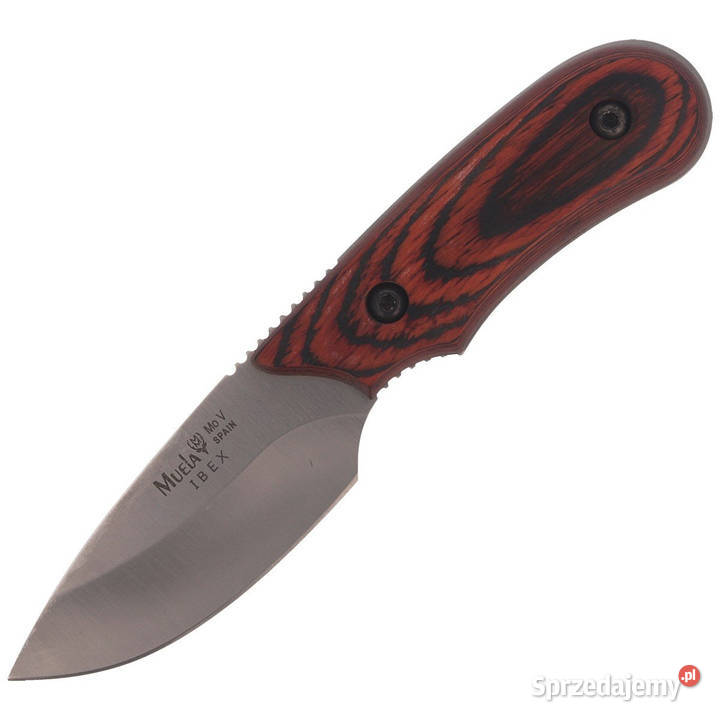 Nóż Muela Full Tang Pakkawood Satin X50CrMoV15 Warszawa sprzedam