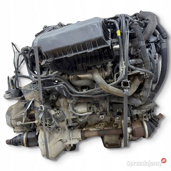SILNIK 9HU Citroen Jumpy II Peugeot Expert Fiat Chełm