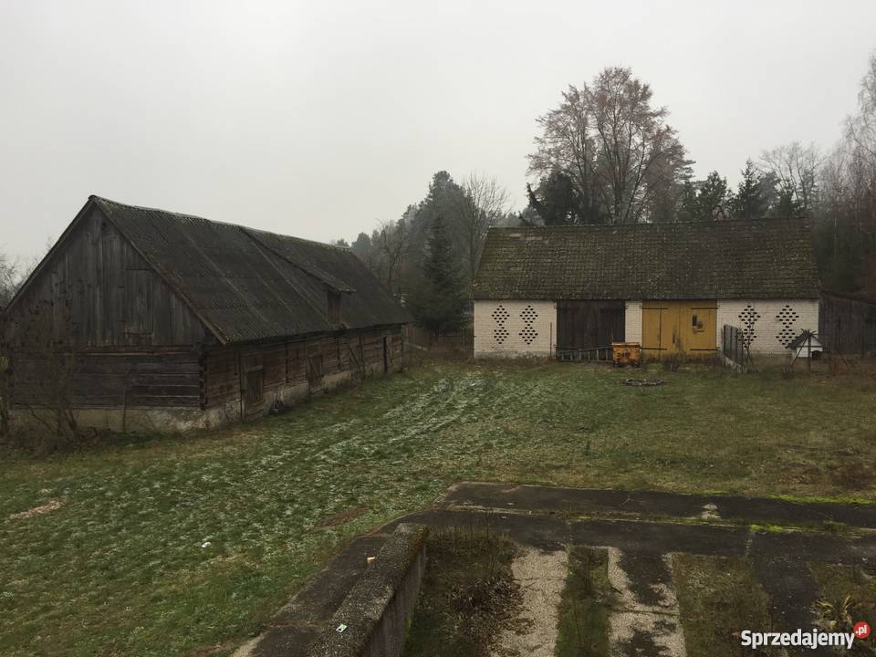 Dom ze stawem siedlisko rekreacja cicha okolica