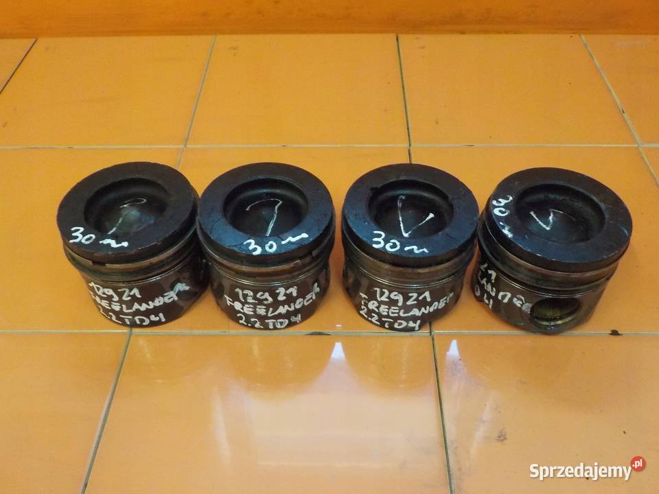 LAND ROVER FREELANDER II 22 TD4 08r 160 224DT mazowieckie Suków