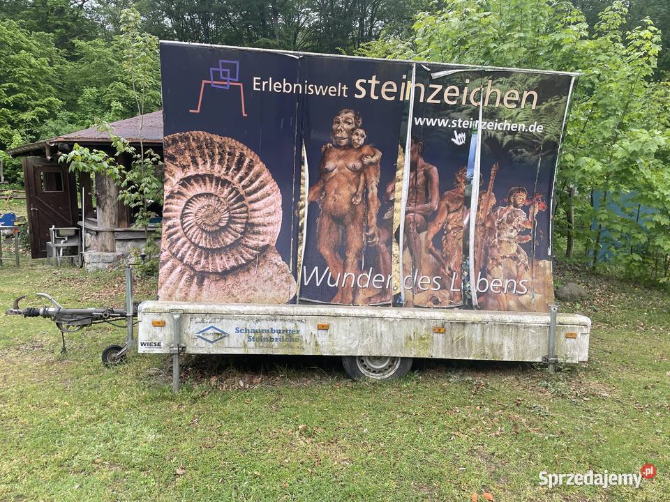 Przyczepa reklamowa Pozostałe Gorzyń