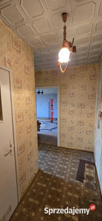Mieszkanie CzerwionkaLeszczyny 5152m2 1 pokój 3299zł/m2 Czerwionka-Leszczyny