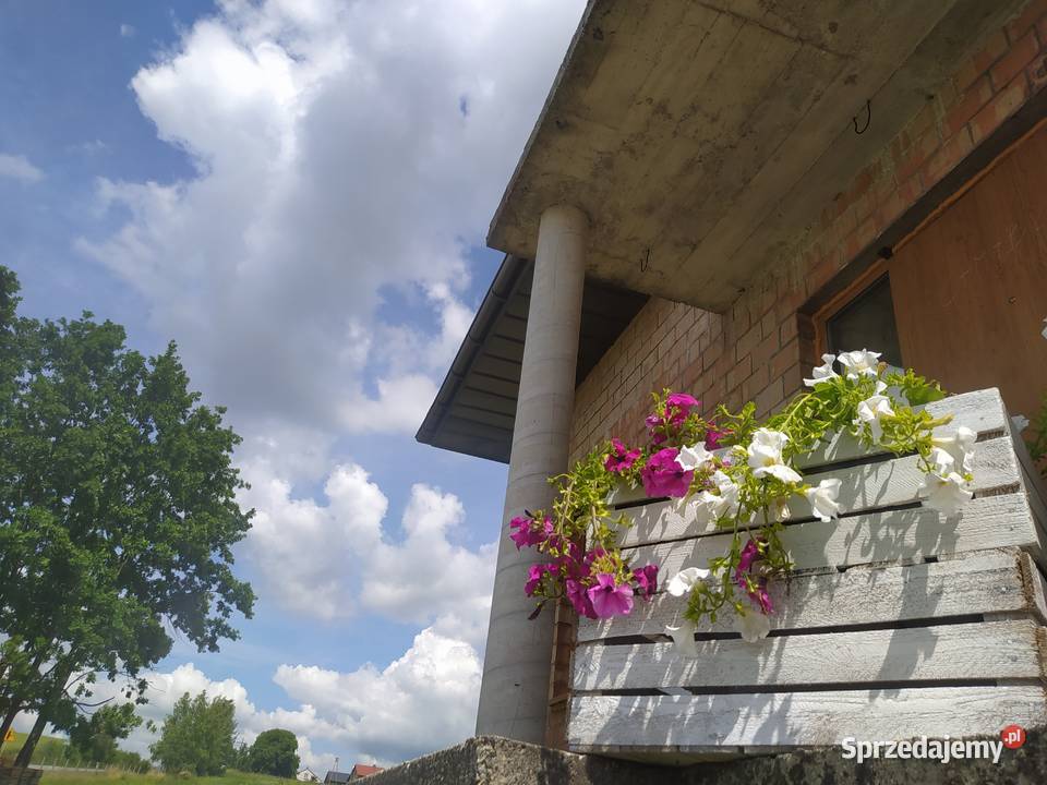 skrzynka drewniana na kwiaty warzywa owoce półkę Łagów