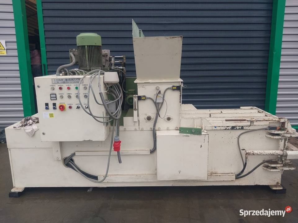 belownica pozioma Sośno