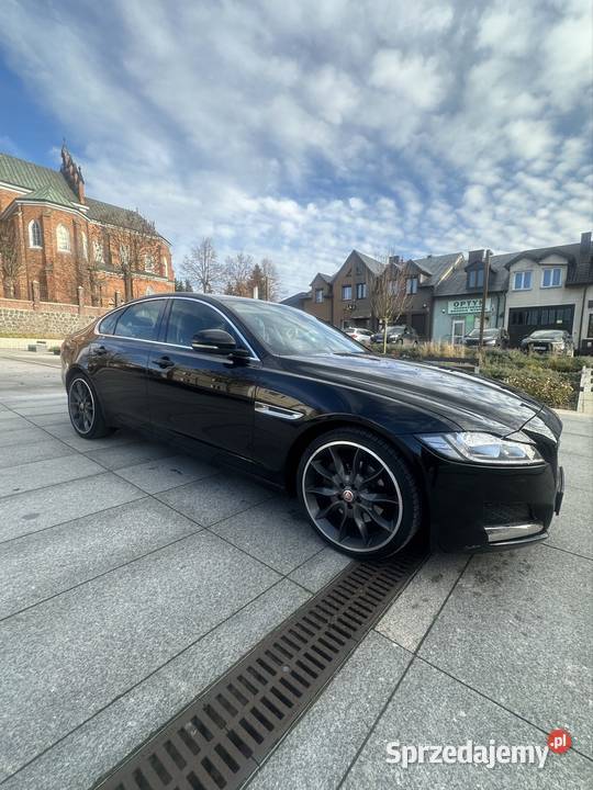Jaguar XF Long X260 20d Automat 8 biegów Serwis kupiony w Polsce łódzkie Kutno sprzedam