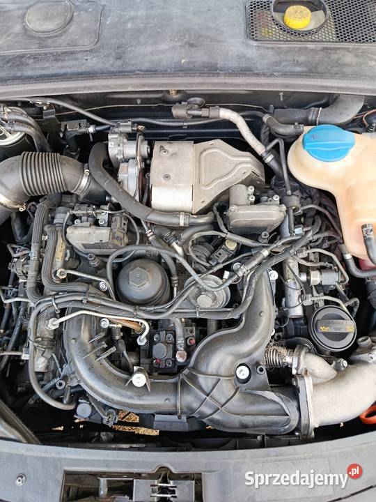 Audi A6C6 30 TDI Quattro A6 Cieszanów