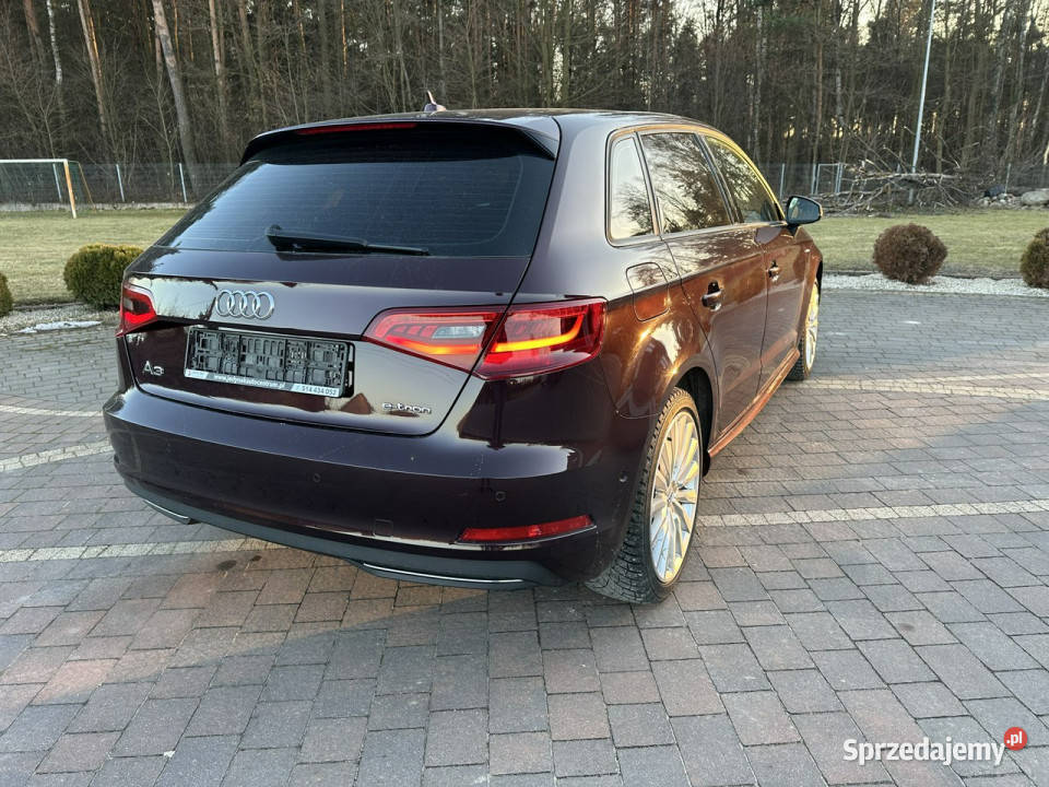Audi A3 Sportback 8V 2012 światła przeciwmgielne Lipówki