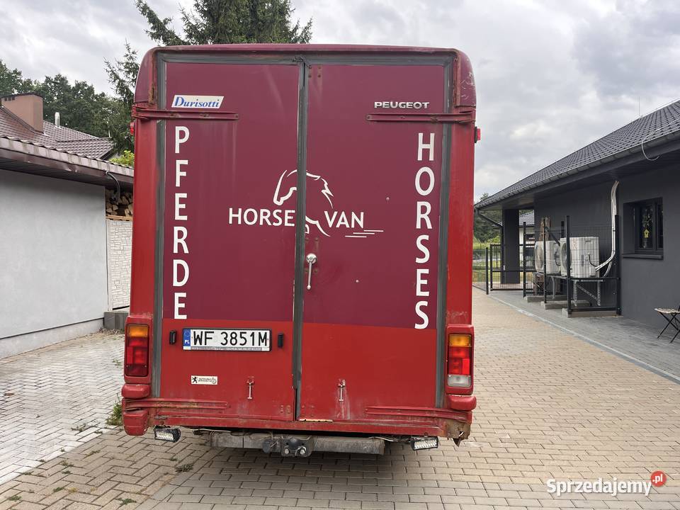 Koniowóz Peugeot Boxer lubelskie Lublin