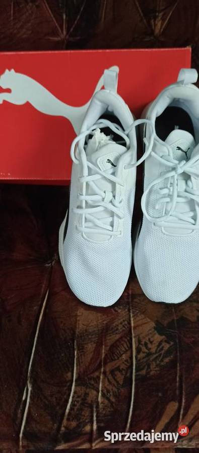 Sprzedam tanio okazja Radecznica