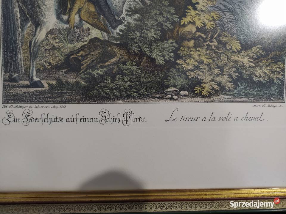 RIDINGER JE GRAFIKA MIEDZIORYT Siechnice