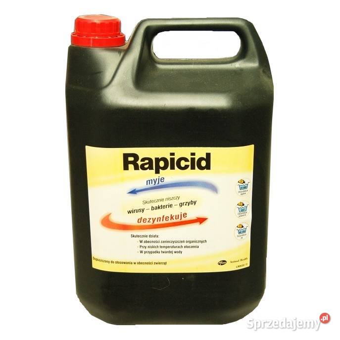 RAPICID 5L dezynfekcja i mycie