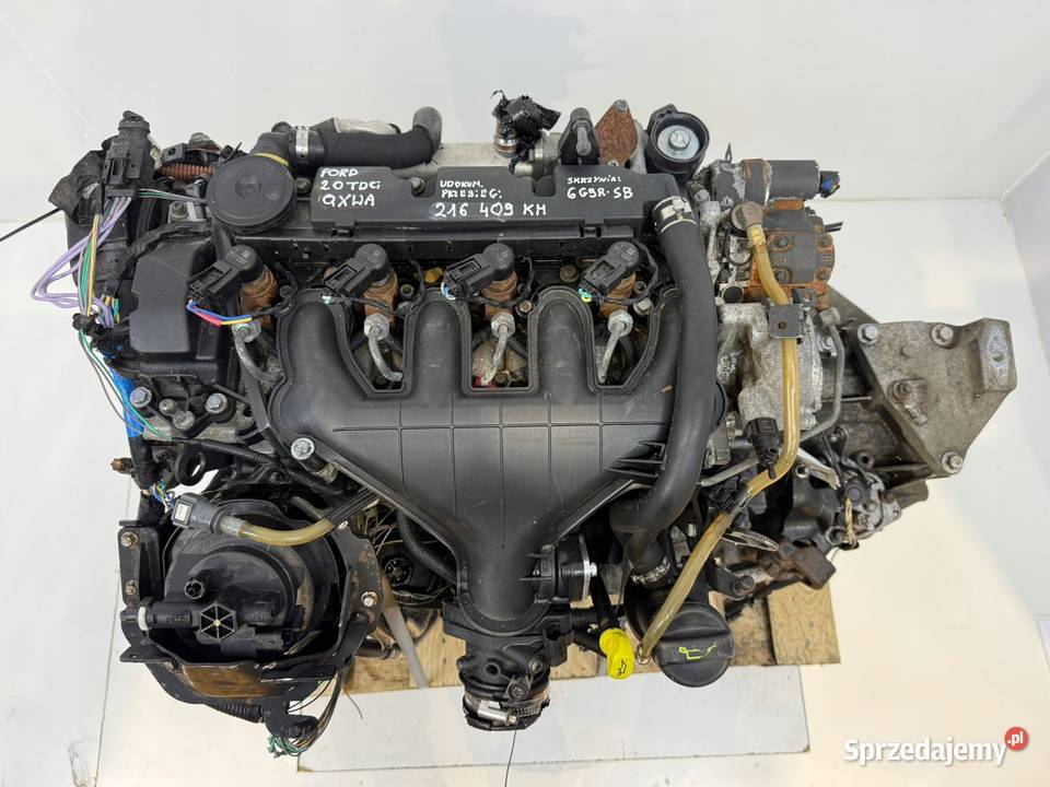 SILNIK G6DD Ford C C Focus MK2 20 TDCI 136 Chełm sprzedam