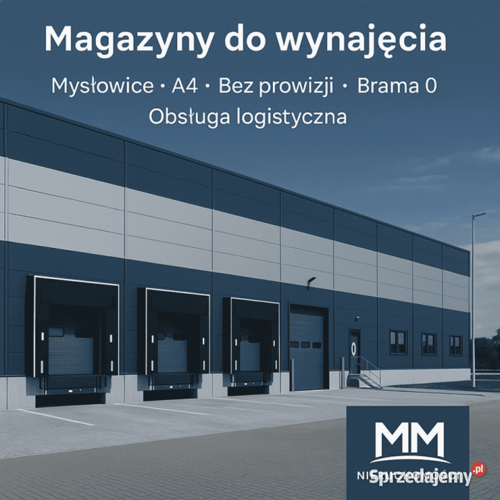Hala z suwnicą do wynajęcia Katowice ogrzewanie