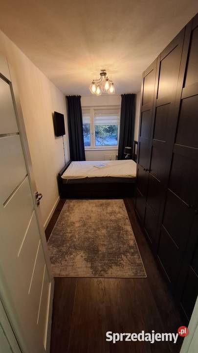 3 pokoje Gdańsk Chełmzwierzęta mile widziane Wynajem pomorskie