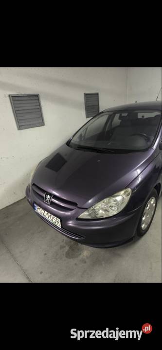 Peugeot 307 wielkopolskie Rawicz sprzedam