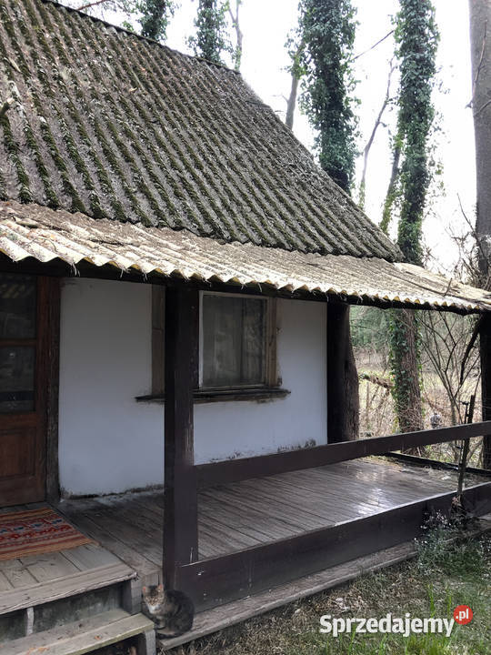 Dwa domy na pięknej działce 35 Warszawy OKAZJA 1000m2 mazowieckie Osieck