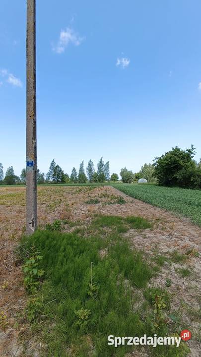 Groszkowo I Mierzeja Wiślana I działka pod