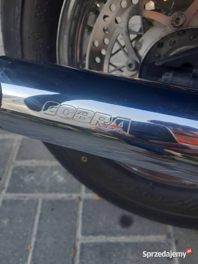 yamaha xvs dragstar1100 Grzybno
