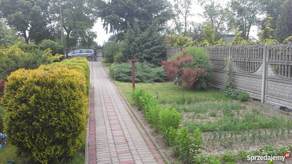 Sprzedam dom 100m2 w Koluszkach mieszkalny Domy Koluszki