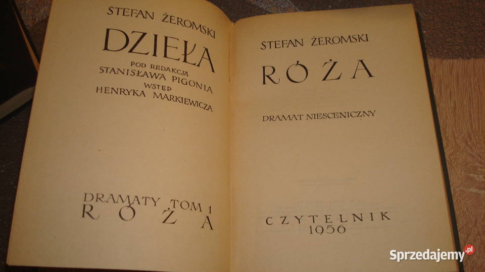 Róża Żeromski Dzieła js Proza i poezja Kruszwica