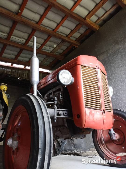 Sprzedam Ferguson TEA 20 1952r Benzyna