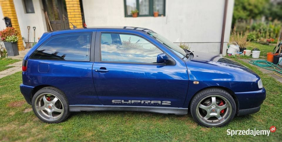 Seat Ibiza Cupra Łańcut