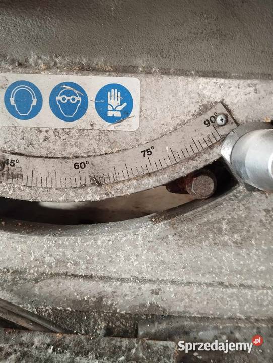 Dwupila petrici Komorze Przybysławskie