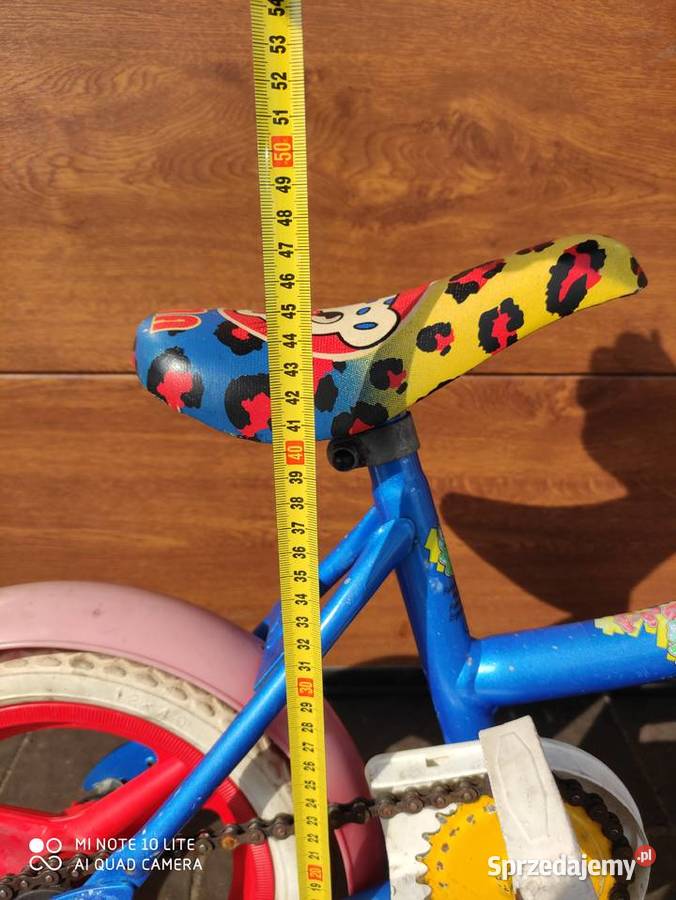 Rowerek dziecięcy mały Buczek