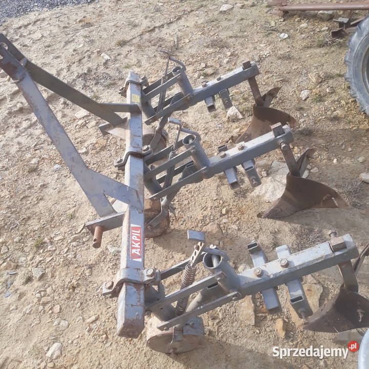 Kopaczka do ziemniaków elewatorowa Nowa Słupia sprzedam