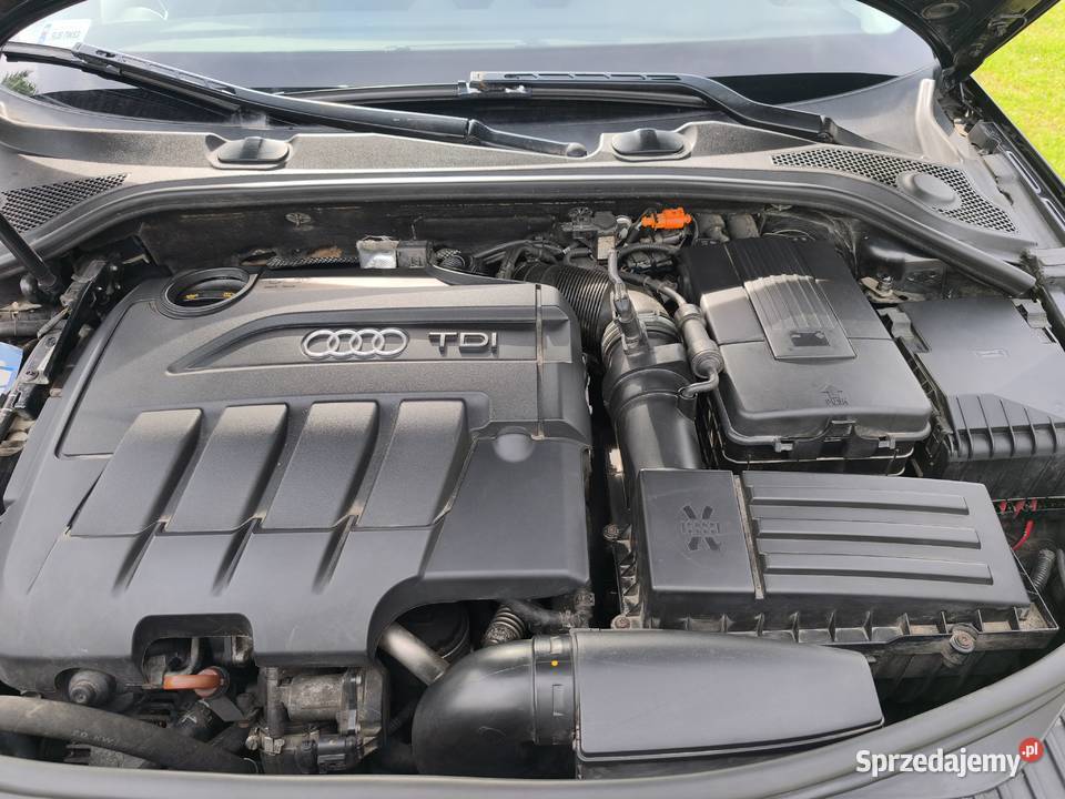Sprzedam Audia A3 8P lifcie Łężyny