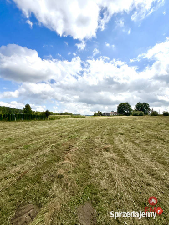 sprzedaży gruntu 2000m2 Przejma Wysoka budowlana