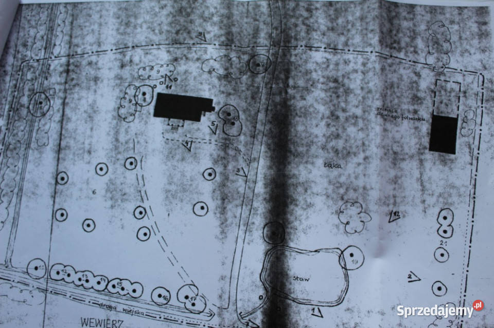 Sprzedam dobrze zachowany dworek w samym sercu Wewierz