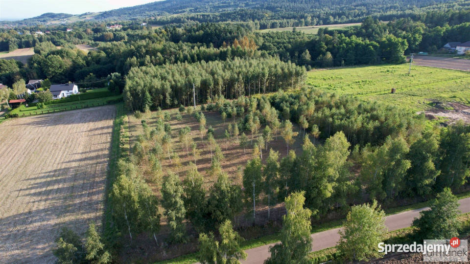 Działka 4775m2 Błażkowa sprzedam