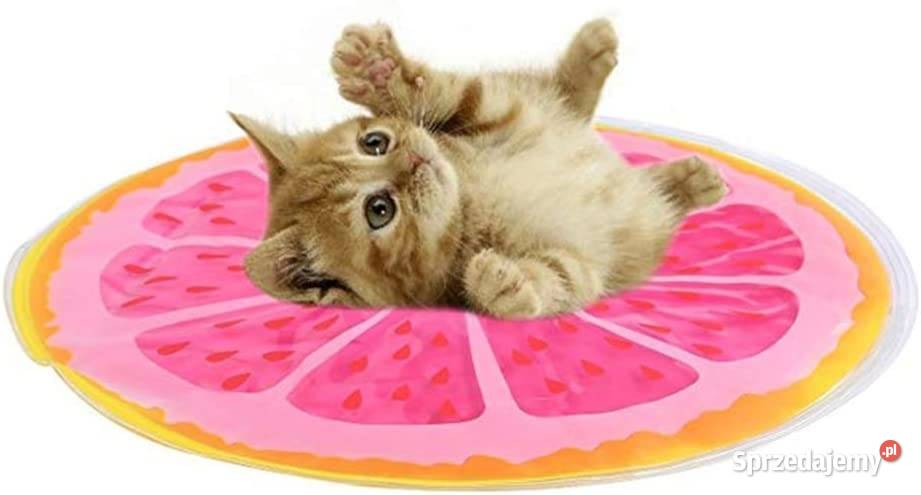 Esoes Fruit Ice Cool Pad Chłodząca mata żelowa lubelskie