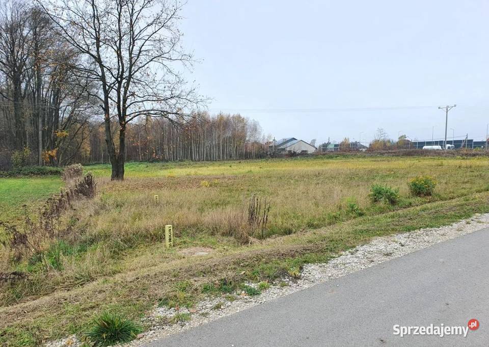 Działki budowlane 8 10 11 12 arów Dąbrowa Tarn Dąbrowa Tarnowska