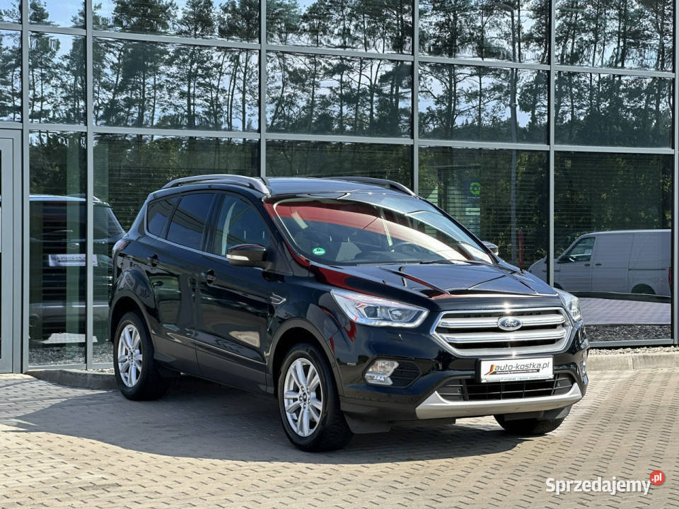Ford Kuga LED Asystent Czujniki Grzane Kąty Opolskie