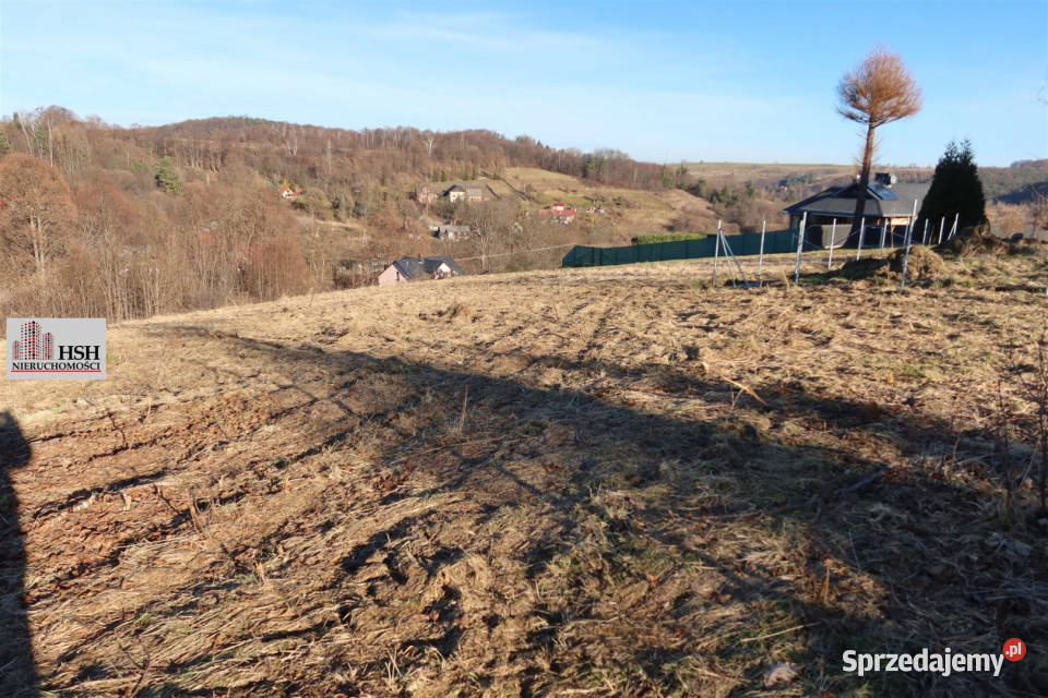 Grunt na sprzedaż Krzeszowice 7142m2 sprzedam