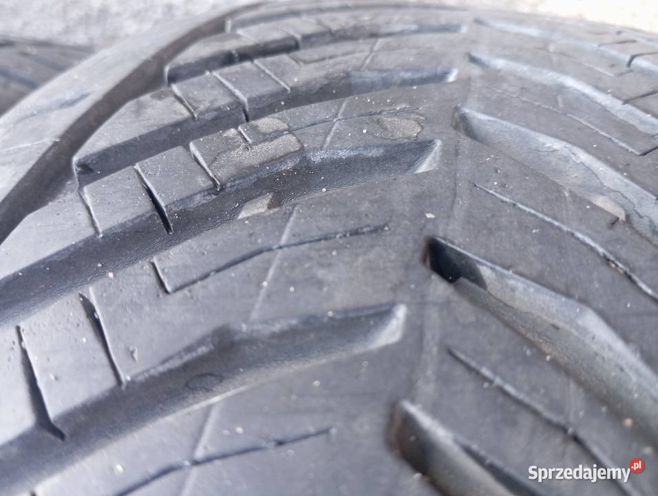 Opony całoroczne kormoran 1745225