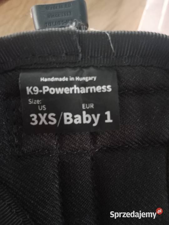 Szelki Julius piłka Kielce