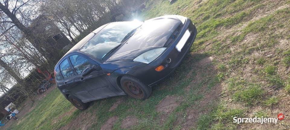 Ford Focus 18d nieuszkodzony Gorzów Śląski