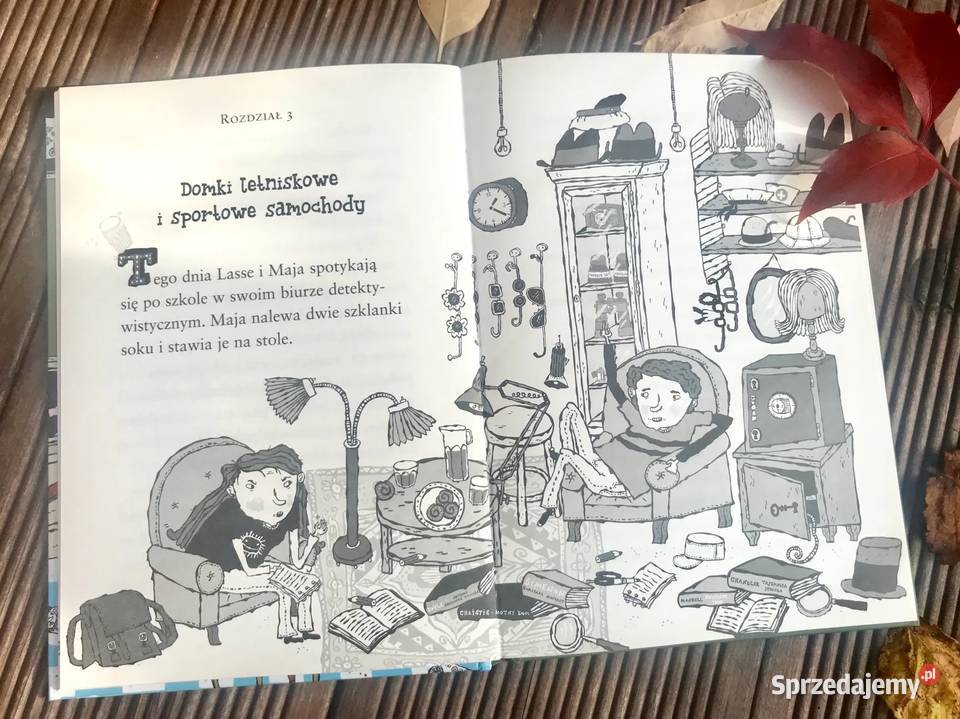 Biuro Detektywistyczne Lassego i Mai Tajemnica Wrocław