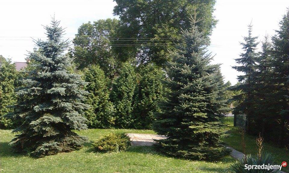 Sprzedam dom w Szczebrzeszynie wolnostojący Szczebrzeszyn sprzedam