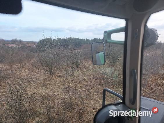 Wycinka drzew Czyszczenie działek Mulczowanie