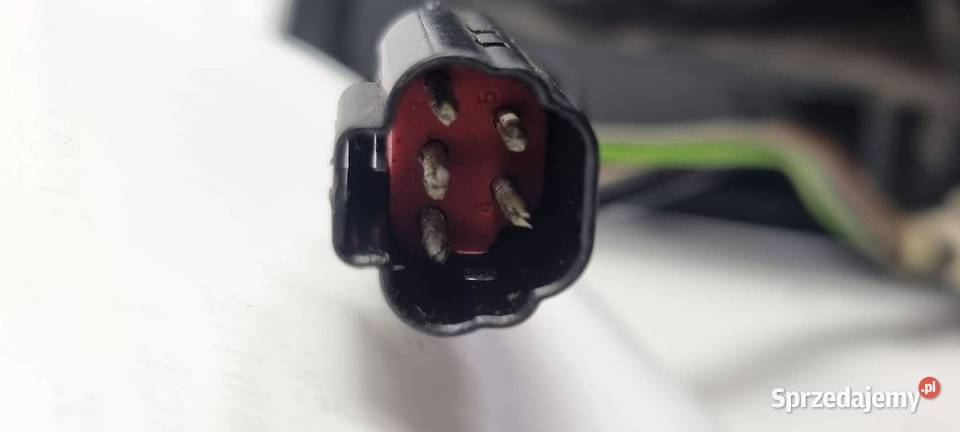 LUSTERKO PRAWE FORD FOCUS MK1 PIN 6