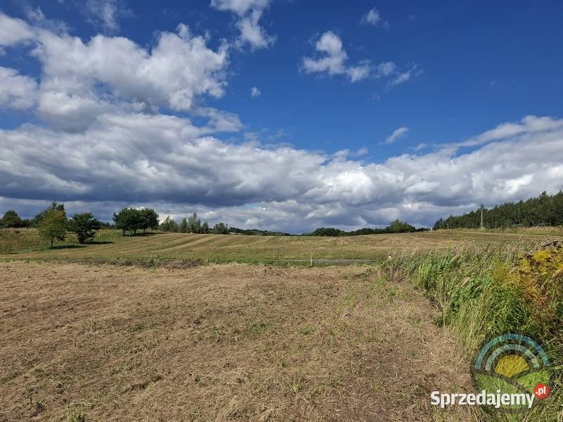 Brzoskwinia gm Zabierzów widokowa działka 3100 małopolskie sprzedam